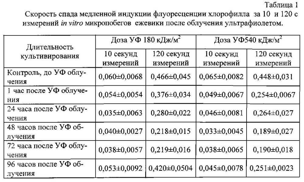 Способ оценки функционального состояния растений in vitro без нарушения стерильности (патент 2604302)