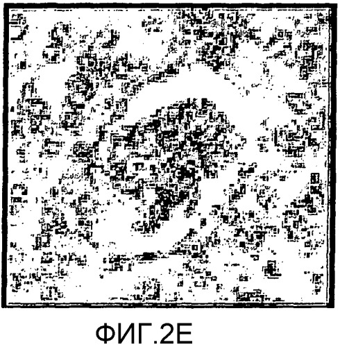 Сенсибилизированный оперативный bold-mri способ получения изображения (патент 2343829)