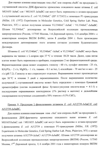 Способ получения l-треонина или l-аргинина с использованием бактерии, принадлежащей к роду escherichia, в которой инактивирован ген chac или оперон chabc (патент 2392327)