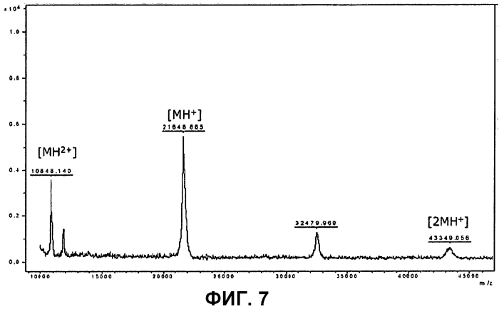 Внеклеточная гиалуронидаза из streptomyces koganeiensis (патент 2553205)