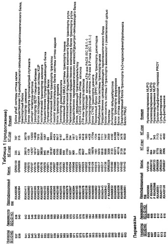 Гены corynebacterium glutamicum, кодирующие белки, участвующие в синтезе мембран и мембранном транспорте (патент 2312145)
