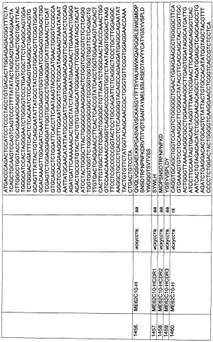 Pscaxcd3, cd19xcd3, c-metxcd3, эндосиалинxcd3, epcamxcd3, igf-1rxcd3 или fap-альфаxcd3 биспецифическое одноцепочечное антитело с межвидовой специфичностью (патент 2547600)