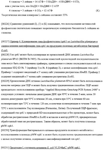 Использование фосфокетолазы для продукции полезных метаболитов (патент 2322496)