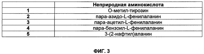 Селективная посттрансляционная модификация экспонируемых фагами полипептидов (патент 2459866)