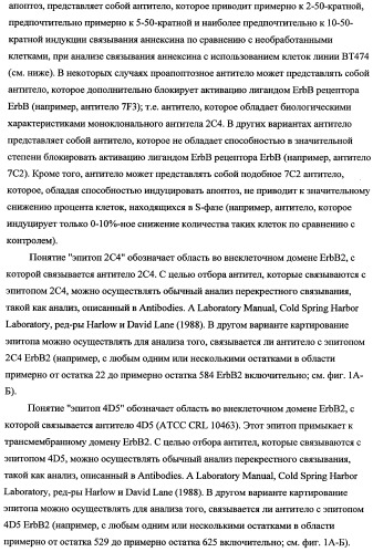 Способ лечения рака у человека (варианты), применяемая в способе форма (варианты) и применение антитела (варианты) (патент 2430739)