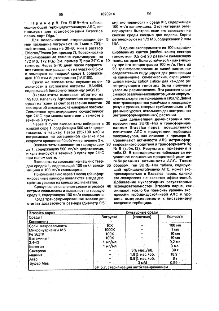 Способ получения двудольных растений, устойчивых к сульфонилмочевине (патент 1820914)