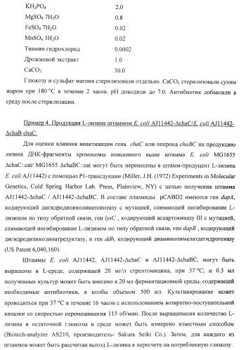 Способ получения l-треонина или l-аргинина с использованием бактерии, принадлежащей к роду escherichia, в которой инактивирован ген chac или оперон chabc (патент 2392327)