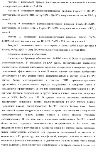 Fc-эритропоэтин слитый белок с улучшенной фармакокинетикой (патент 2370276)
