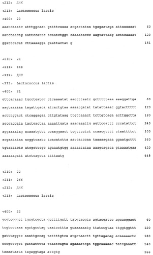 Промоторы lactococcus и их применение: (патент 2495129)