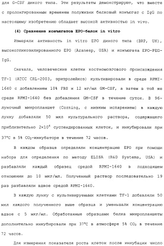 Физиологически активный полипептидный конъюгат, обладающий пролонгированным периодом полувыведения in vivo (патент 2312868)