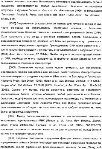 Генетически кодируемые флюоресцентные кумариновые аминокислоты (патент 2473690)