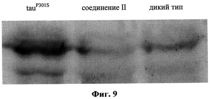 Производные фенотиазинсодержащих 1,2,3,4-тетрагидропиридо[4,3-b]индолов в качестве средства для снижения неконтролируемой агрегации белков в нервной системе, способы их получения, фармакологическое средство на их основе и способ снижения неконтролируемой агрегации белков в нервной системе (патент 2529899)