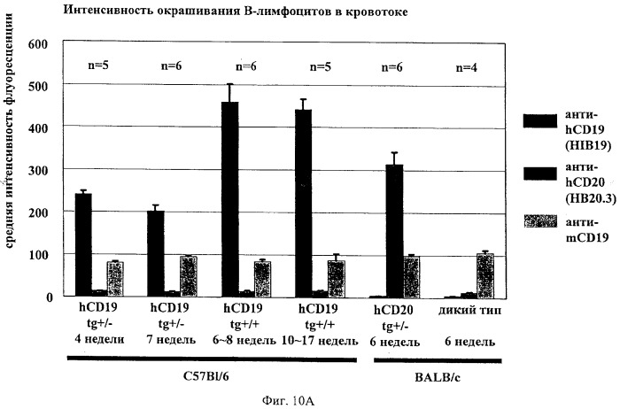 Гуманизированные антитела к cd19 и их применение для лечения онкологического, связанного с трансплантацией и аутоиммунного заболевания (патент 2495882)