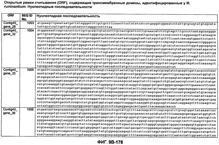 Вакцины и компоненты вакцин для подавления микробных клеток (патент 2528854)