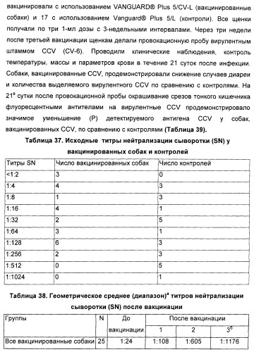 Поливалентные вакцины для собак против leptospira bratislava и других патогенов (патент 2400248)