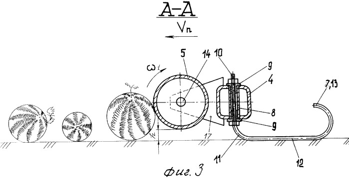 Валкообразователь плодов бахчевых культур (патент 2315465)