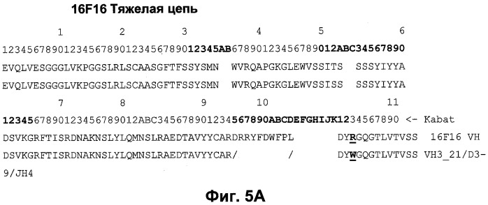 Антитела к человеческому nkg2d и их применения (патент 2563343)