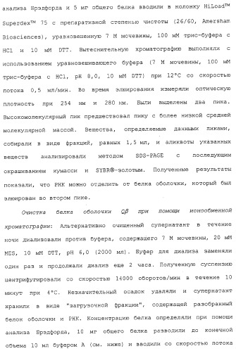 Композиции, содержащие cpg-олигонуклеотиды и вирусоподобные частицы, для применения в качестве адъювантов (патент 2322257)