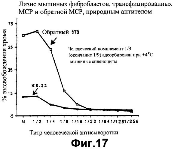 Способ получения трансгенного животного (патент 2252533)