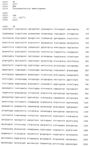 Микроорганизмы corynebacterium с повышенной продукцией 5&#39;- инозиновой кислоты и способ получения нуклеиновых кислот с их использованием (патент 2482178)