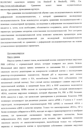 Выделенный рекомбинантный вирус гриппа и способы его получения (патент 2351651)