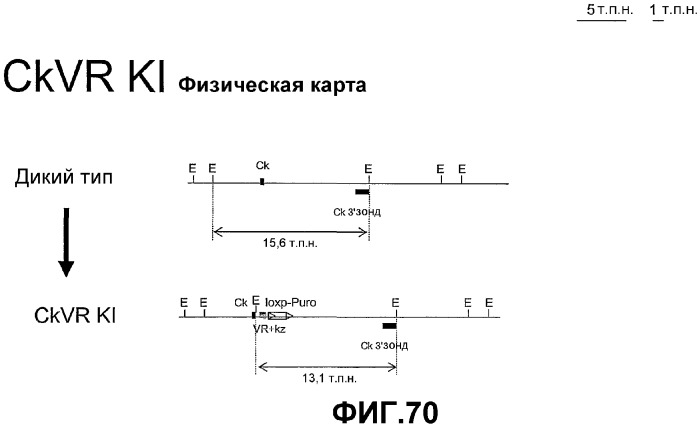 Желудочно-кишечный пролиферативный фактор и его применения (патент 2343158)