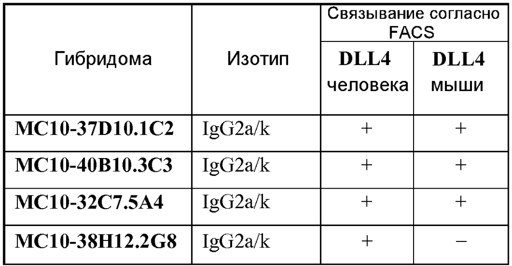 Терапевтические dll4-связывающие белки (патент 2605928)