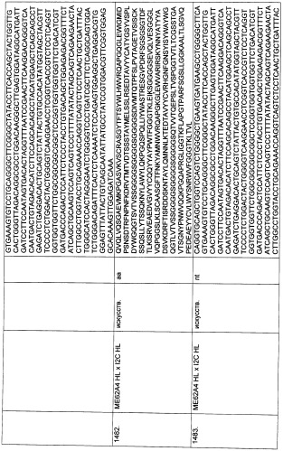 Pscaxcd3, cd19xcd3, c-metxcd3, эндосиалинxcd3, epcamxcd3, igf-1rxcd3 или fap-альфаxcd3 биспецифическое одноцепочечное антитело с межвидовой специфичностью (патент 2547600)