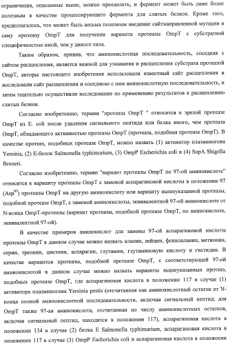 Способ расщепления полипептидов с использованием варианта протеазы оmpт (патент 2395582)