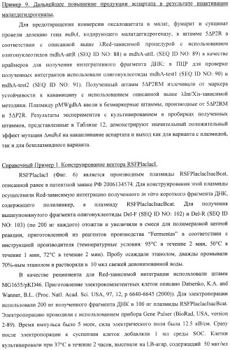 Бактерия, принадлежащая к роду pantoea, - продуцент l-аспартата или метаболита, являющегося производным l-аспартата, и способ получения l-аспартата или метаболита, являющегося производным l-аспартата (патент 2411289)