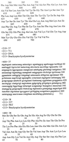 Гены и белки brachyspira hyodysenteriae и их применение (патент 2440369)