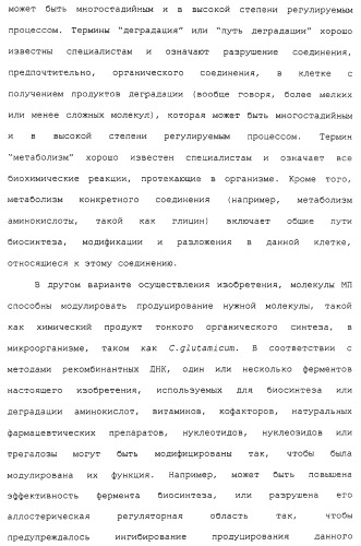 Гены corynebacterium glutamicum, кодирующие белки метаболических путей (патент 2306339)