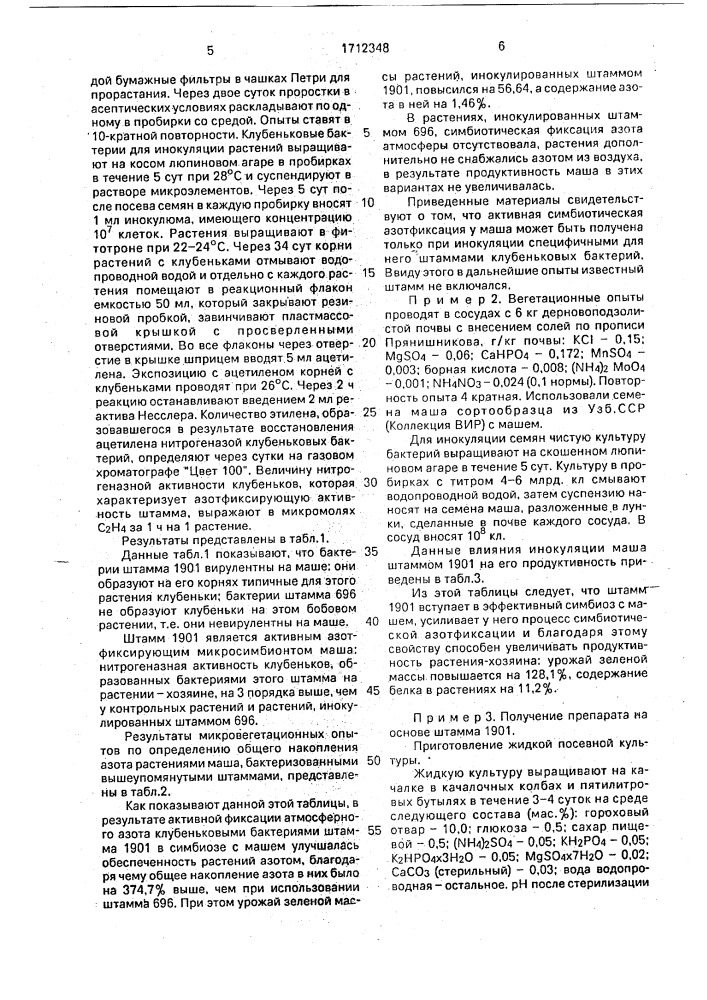 Штамм бактерий вrаdyrнizовiuм sp. (vigna) для получения бактериального удобрения под @ маш (патент 1712348)