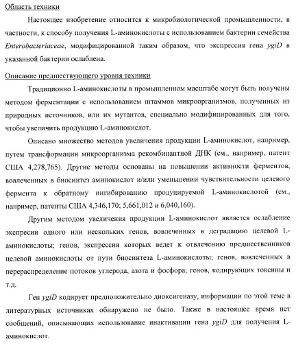 Способ получения l-треонина с использованием бактерии, принадлежащей к роду escherichia, в которой инактивирован ген ygid (патент 2396349)