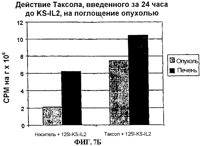 Усиление иммунной реакции, медиатором которой является слитый протеин антитело-цитокин, при помощи комбинированного лечения агентами, увеличивающими поглощение иммуноцитокина (патент 2272644)