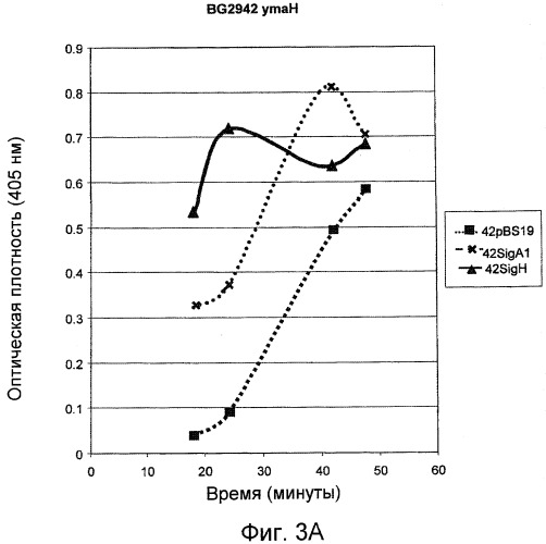 Улучшенная продукция белка в bacillus (патент 2515112)