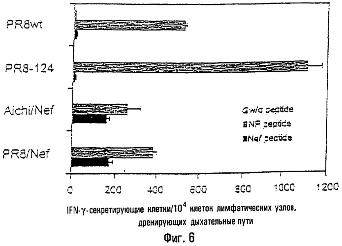 Рекомбинантные вирусы гриппа а (патент 2280690)