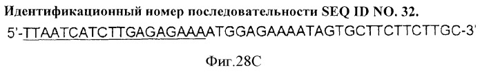 Иммуногенный эпитоп вируса гриппа (патент 2546872)