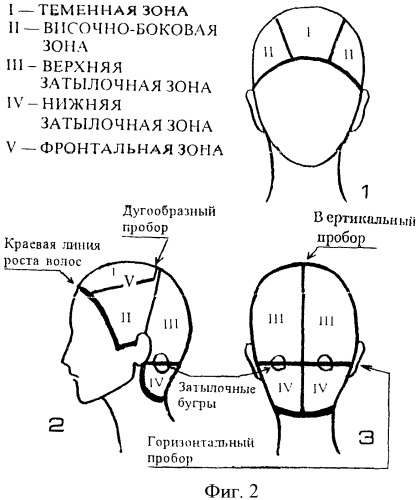 Способ стрижки волос грибанова (патент 2428087)