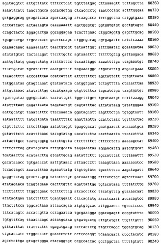 Применение s1p (патент 2362565)