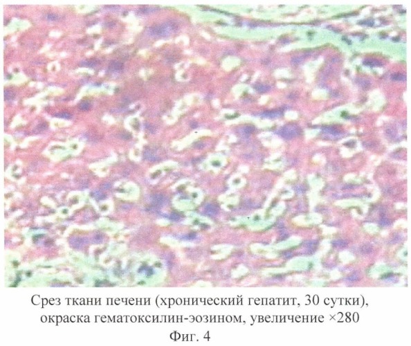 Средство &quot;гепатобиол&quot;, обладающее гепатопротекторным действием (патент 2429869)