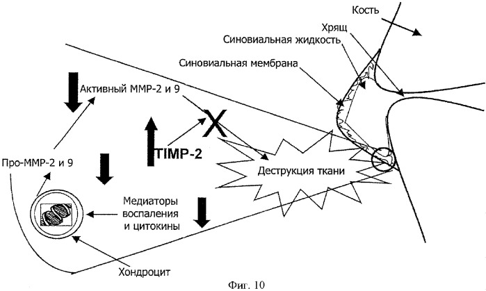 Композиция диеты при остеоартрите собак (патент 2351153)