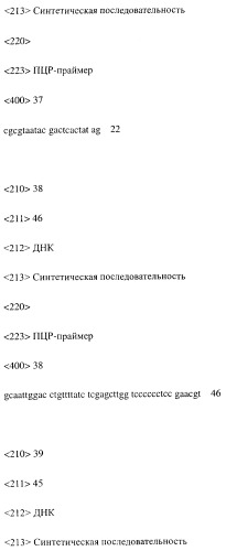 Модифицированное агонистическое антитело (патент 2295537)