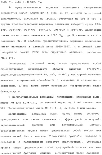 Scfv против egfrviii с улучшенной цитотоксичностью и выходом, иммунотоксины на их основе и способы их применения (патент 2317999)