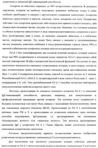 Гипоаллергенный слитый белок, молекула нуклеиновой кислоты, кодирующая его, вектор экспрессии, клетка-хозяин, вакцинная композиция и его применение (патент 2486206)