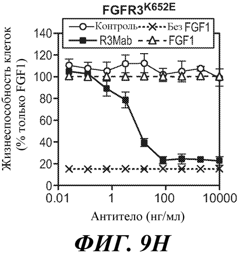 Антитела против fgfr3 и способы их применения (патент 2568066)