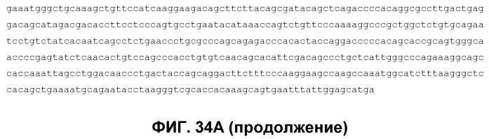 Композиции рекомбинантных антител против рецептора эпидермального фактора роста (патент 2488596)