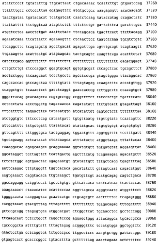 Применение s1p (патент 2362565)