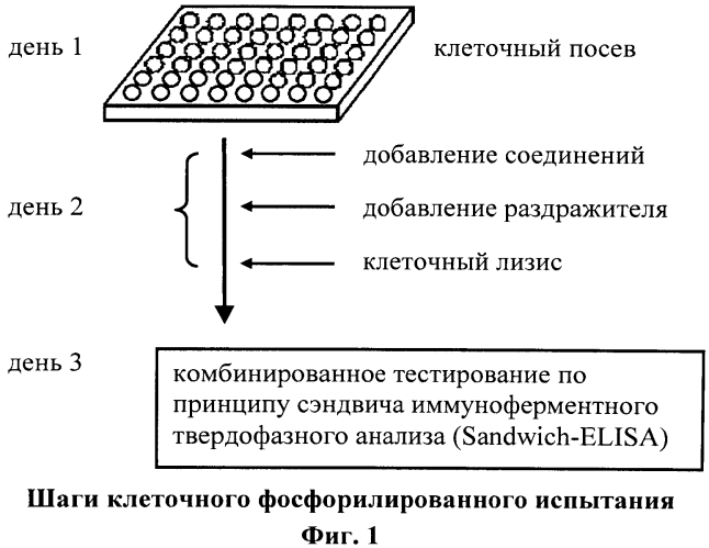 Замещенные соединения хинолина и способы их использования (патент 2568258)