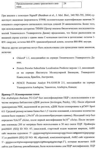 Растения, имеющие улучшенные характеристики роста, и способы их получения (патент 2463352)